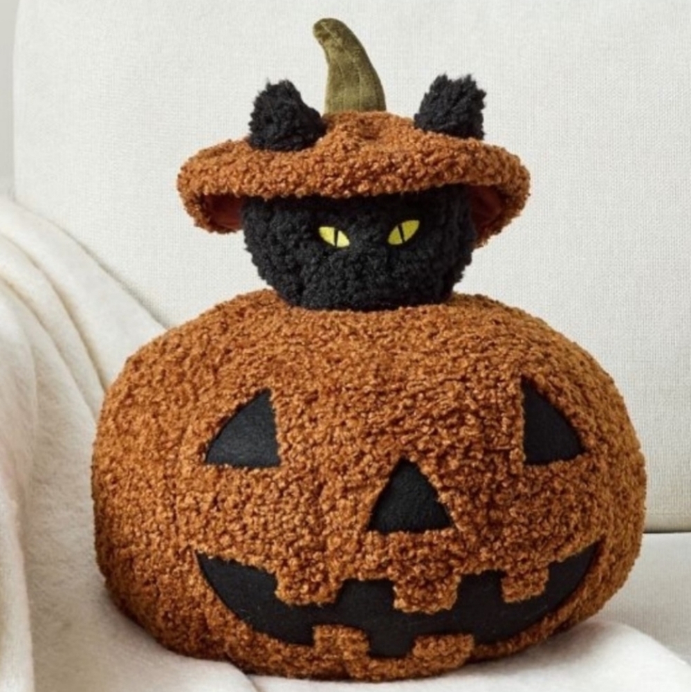 🎃Pottery Barn Peek a Boo Cat Pillow New with Tag